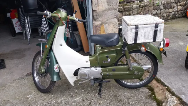 Suzuki Birdie 50cc Verde