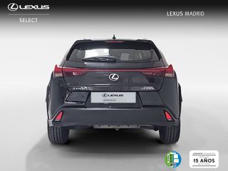 Lexus UX 2.0 250h Premium