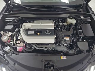 Lexus UX 2.0 250h Premium