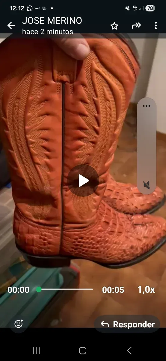 Botas Cowboy Piel Cocodrilo N.41 Original d Americ