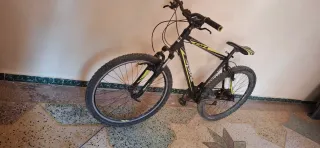 Bicicleta de Montaña Carbono