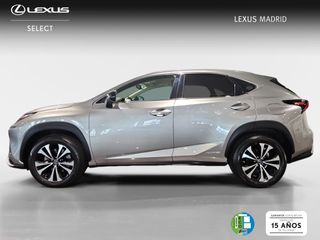 Lexus NX 2.5 300h Premium 2WD