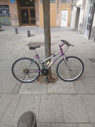 Bicicleta GAC Morada