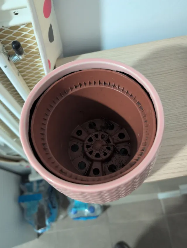 Macetero rosa pequeño