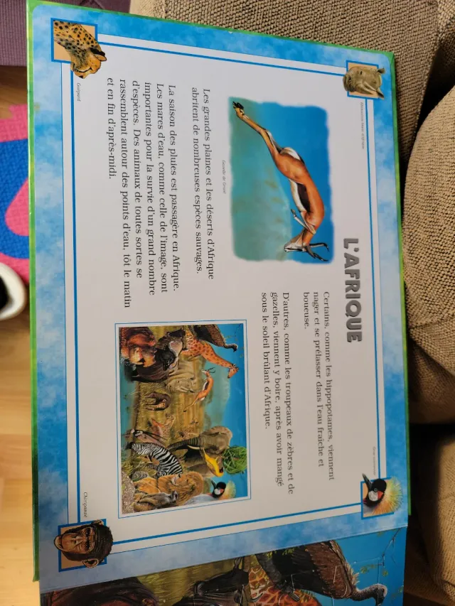 Les animaux du monde