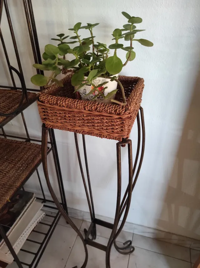 Mensola e fioriera in ferro battuto e vimini