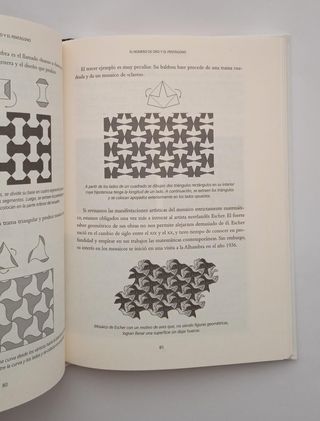 La proporción áurea: el lenguaje matemático de ...