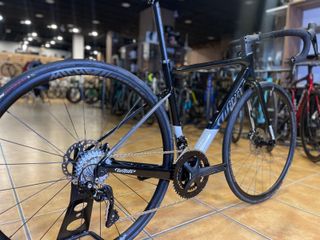 Wilier Garda Disc 105 Talla S y XS
