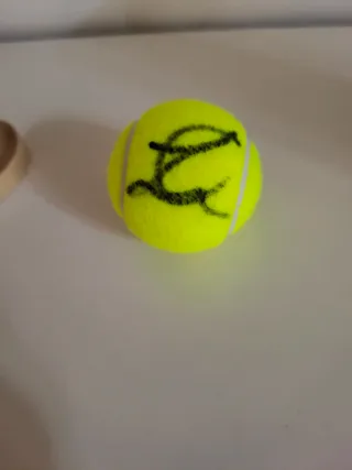Pallina autografata Jannik Sinner
