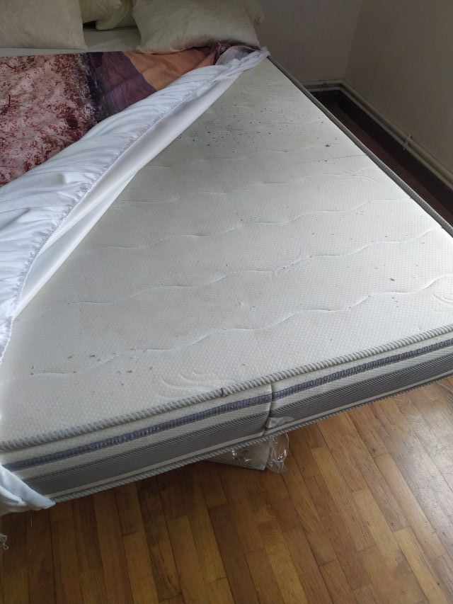 Somier tapizado 1,5 + Colchón