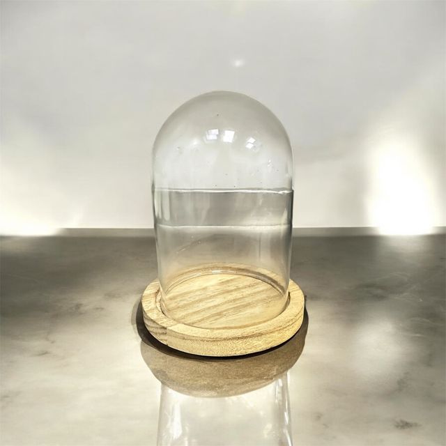 Lote 11 Campanas Vidrio con Base Madera