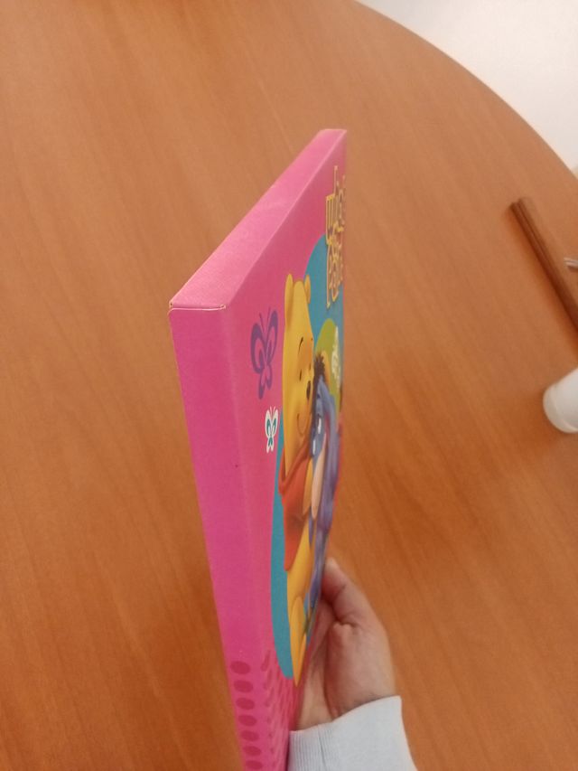 Cuadro decorativo Winnie the Pooh y Igor