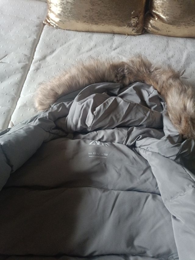 Chaqueta Zara niño Talla 11-12 (152cm)