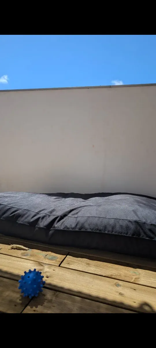 Cojín con funda negra impermeable. 2 unidades