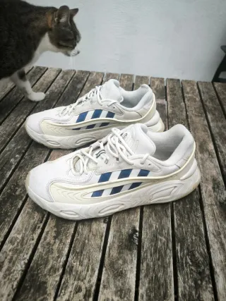 Zapatillas Adidas Oznova Talla 45