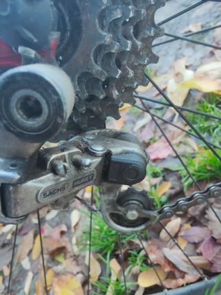 Bici da corsa Colnago Sport Vintage