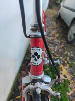 Bici da corsa Colnago Sport Vintage