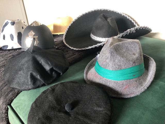 Lote 8 sombreros de disfraz