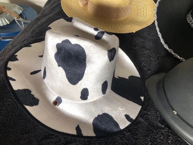 Lote 8 sombreros de disfraz