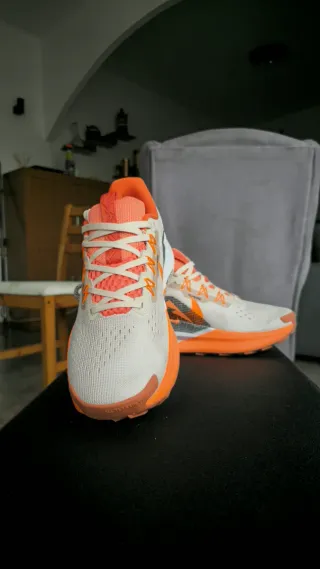 Zapatillas Nike Trail Running Beige Naranja