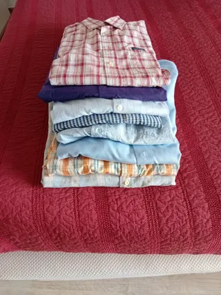 Lote de Camisas