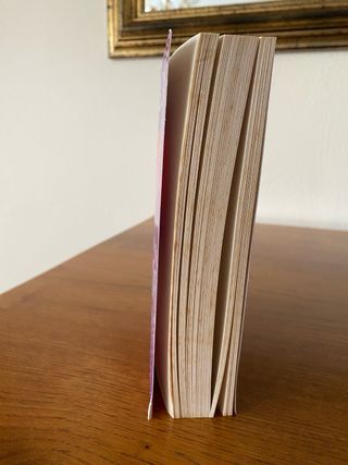 Tengo un secreto: El diario de Meri