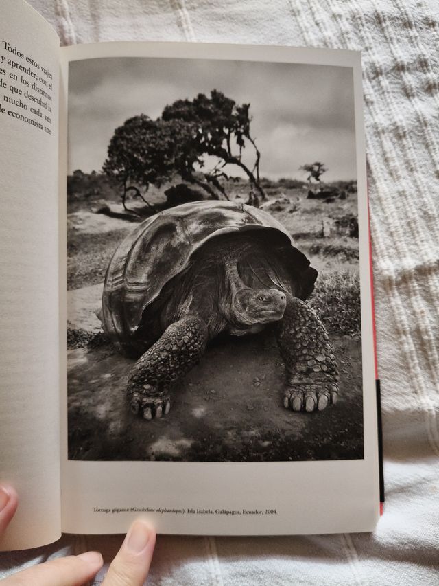 Sebastiao Salgado. Memorias.: De mi tierra a la...