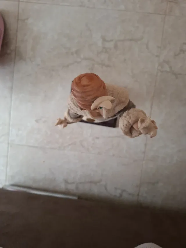 Figura Giuseppe Armani