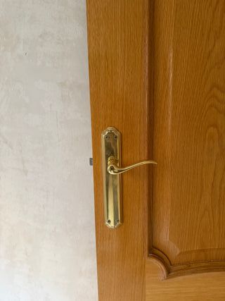 Puerta Roble Macizo Alta Calidad