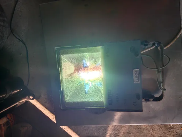 Foco LED EURO STAR IP65