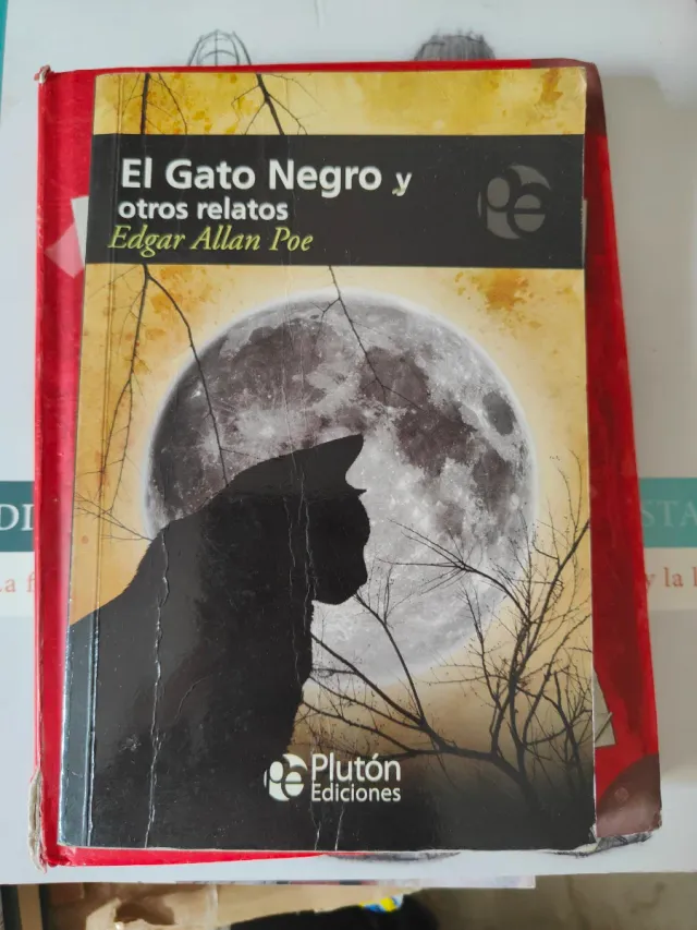 El gato negro y otros relatos libro
