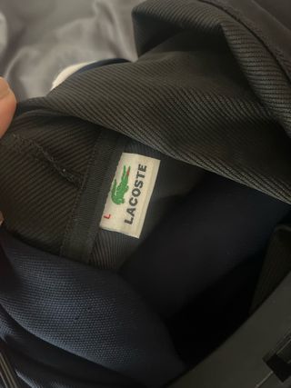 Conjunto Chándal Lacoste Negro y Gris