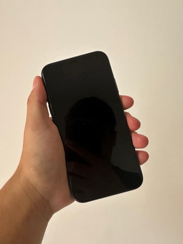 iPhone 11 64GB (Batteria 91%)