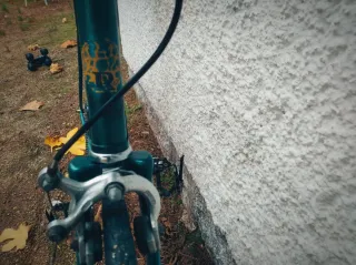 Bicicleta Razesa restaurada  fixie o piñon libre