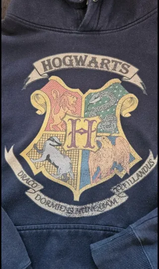 Felpa Harry Potter Hogwarts Blu