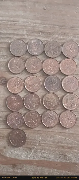 Lotto di monete canadesi