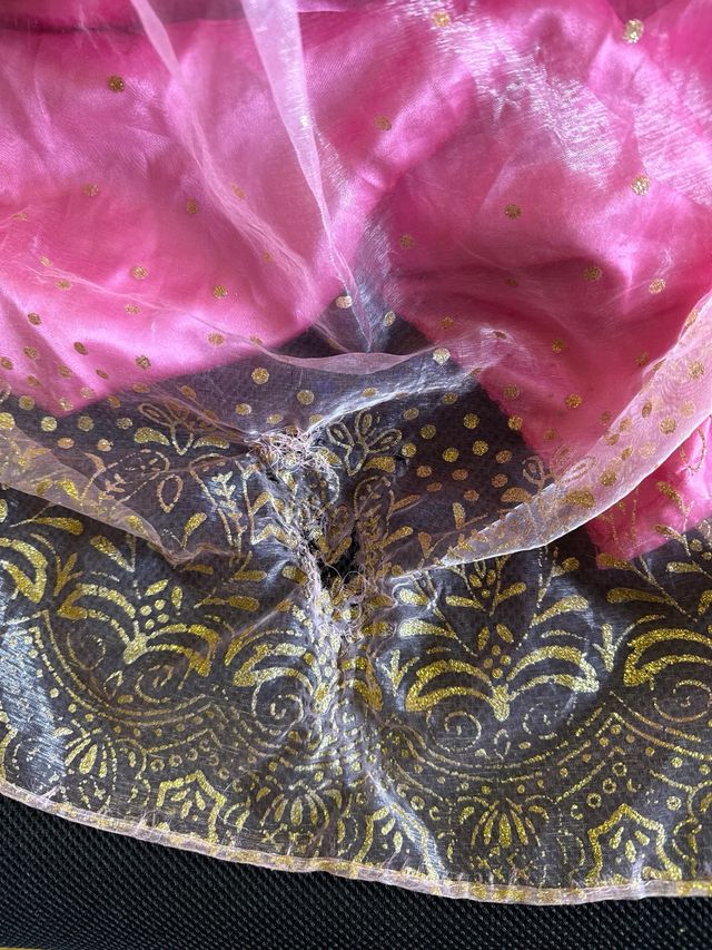 Disfraz Bella Durmiente y Frozen