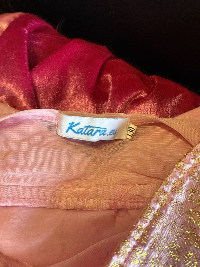 Disfraz Bella Durmiente y Frozen