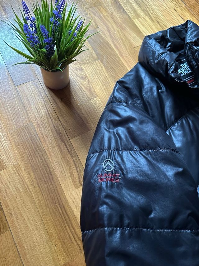 The North Face Puffer Summit Series