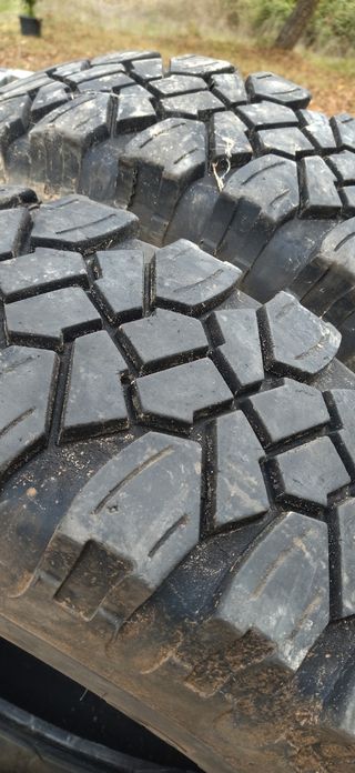 Neumáticos y Llantas