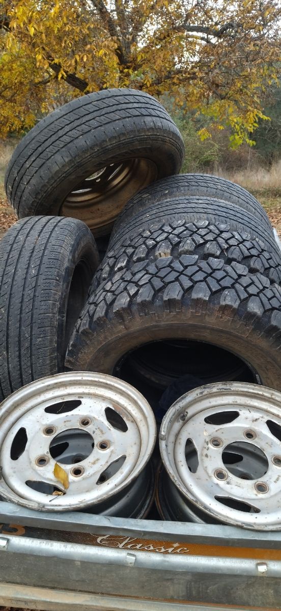 Neumáticos y Llantas