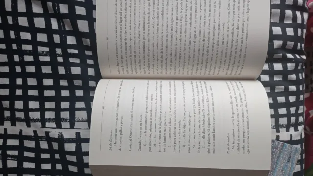 Los diarios de Pizarnik