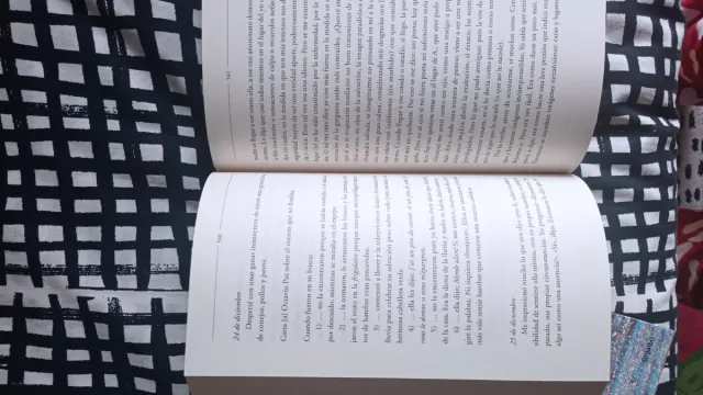 Los diarios de Pizarnik