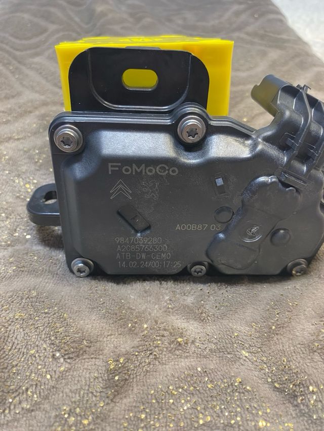 Cuerpo Aceleración Electrónico FoMoCo