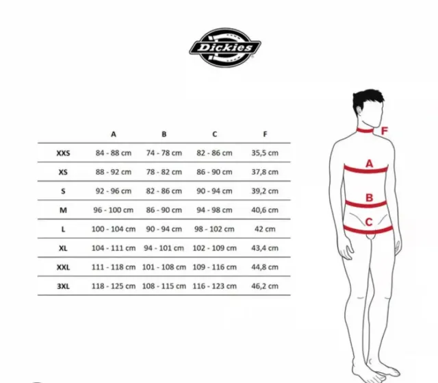 Sudadera Dickies XL Verde