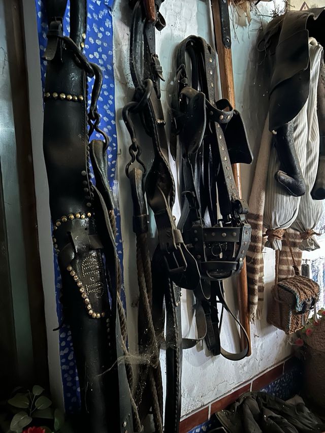 Aperos de mulas antiguos