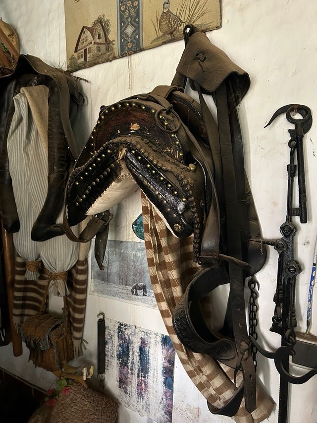 Aperos de mulas antiguos