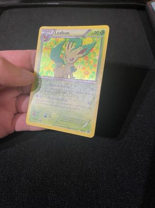Flareon e leafeon promo bianco e nero Pokémon