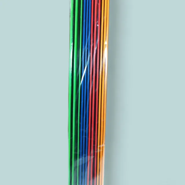 Cartelline Raccoglitori Colorati