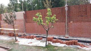 Ladrillos de hormigón para construcción